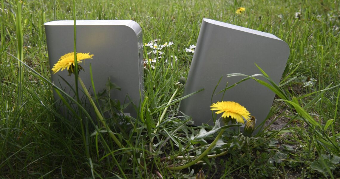 Zwei Festplatten im Gras